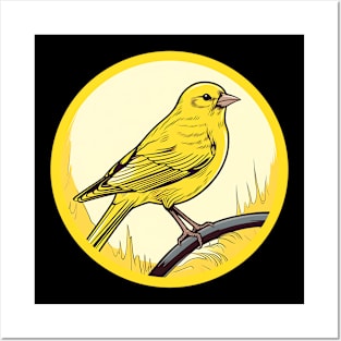 canary bird on a branch Posters and Art